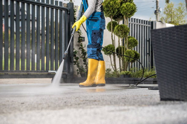 Best Roof Pressure Washing  in Okawvle, IL