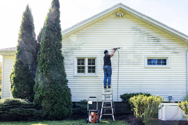Best Roof Power Washing Services  in Okawvle, IL