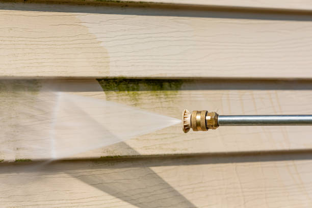 Best Exterior Home Cleaning  in Okawvle, IL