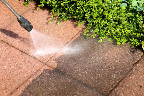 Best Residential Pressure Washing Services  in Okawvle, IL