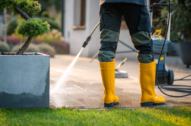 Best Deck Pressure Washing  in Okawvle, IL